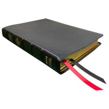 Bible - NASB 2020 edition